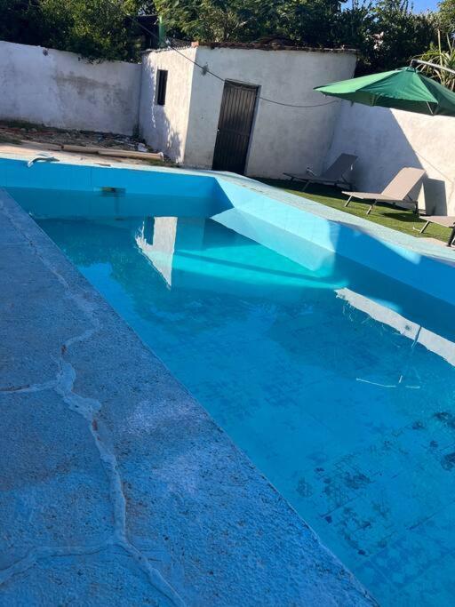 Flores Condominios Depa Lili Álamos 外观 照片